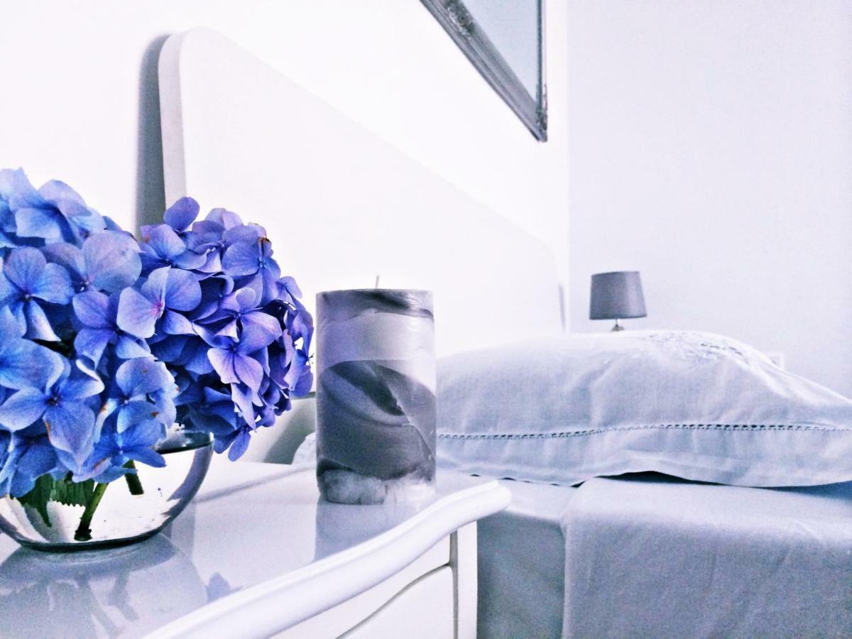 Ika Apartments Bibinje Luaran gambar